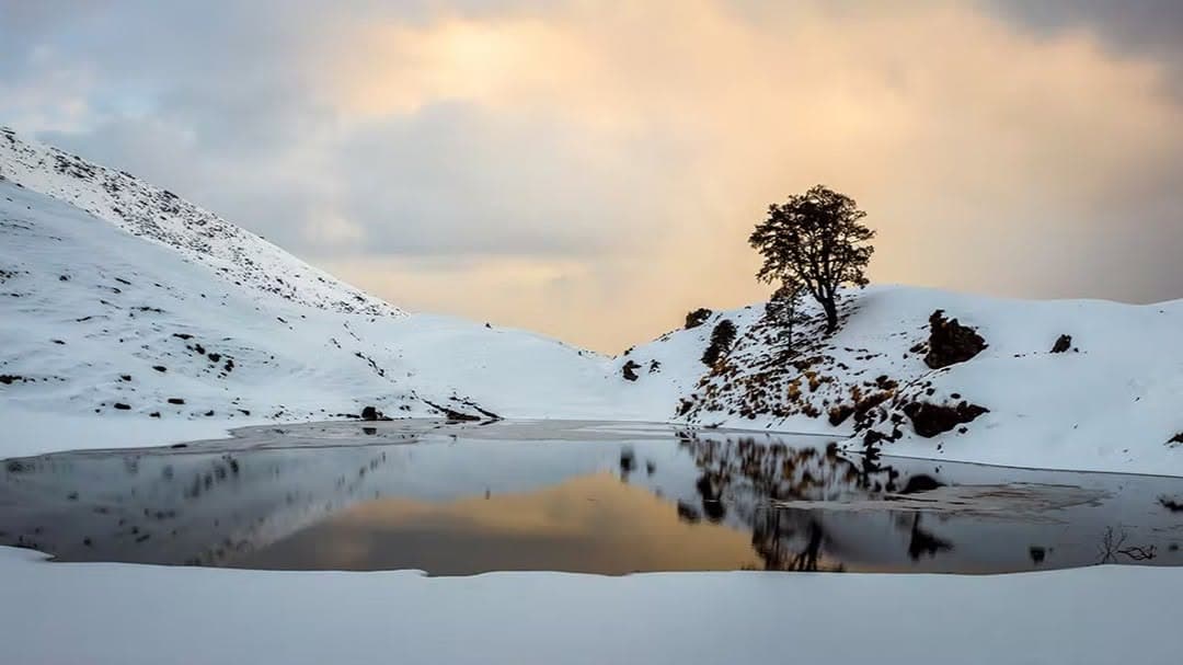 Brahmatal Trek — compare operators and pricing