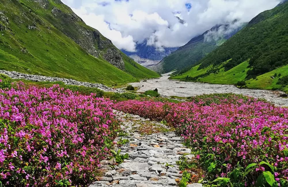 Valley of Flowers Trek trek cost — operator pricing comparison