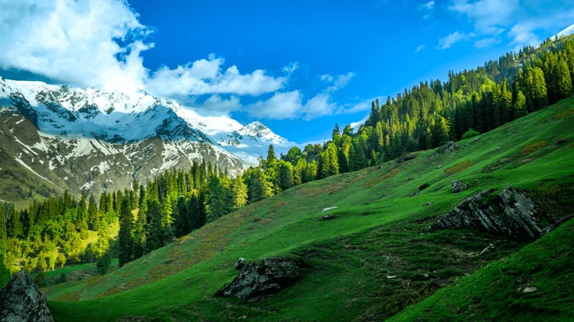 Gidara Bugyal Trek