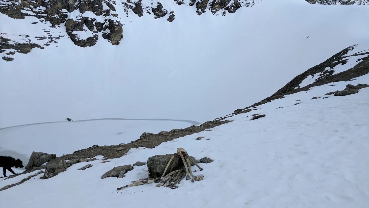 Is Roopkund Trek Difficult? — Altitude & Safety