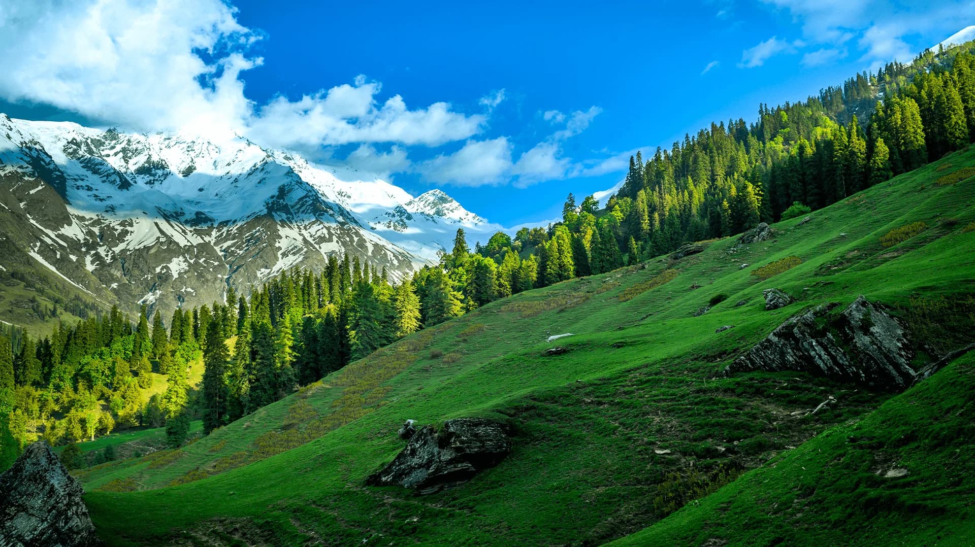 Best time for Dev Kyara Trek — Season Guide