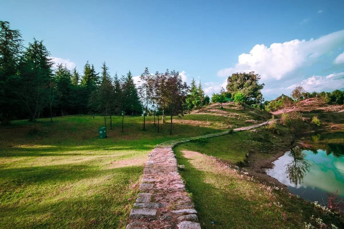 Dayara Bugyal Trek — compare operators and pricing