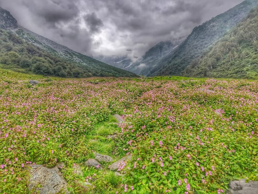 Cheni Pass Trek