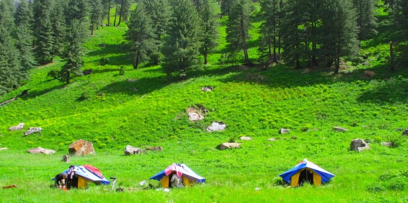 Gara Gushaini Trail