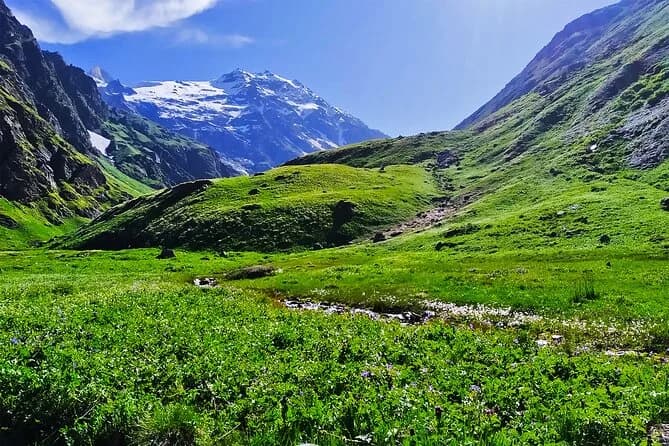 Rangthar Meadow Trek